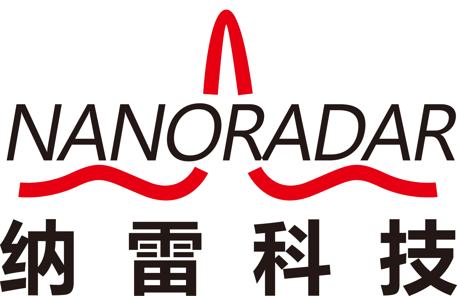 ./_images/supporters_logo_Nanoradar.png