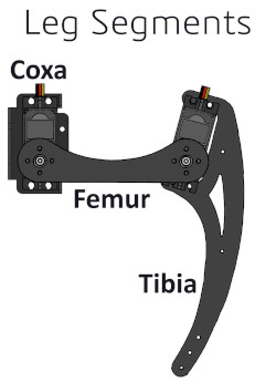 ./_images/Walking_robot-Anatomy.jpg